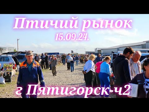 Голуби цены Птичий