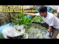 KAYAK TSUN4MI!! BEGINI SAMBARAN IKAN MONSTER SAAT LAMA PUASA DIKASIH LELE