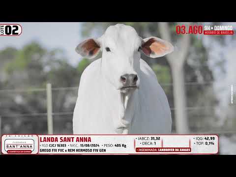 LOTE 02   CJCJ 16303