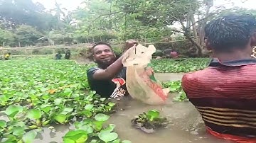 Creative Girl Make Fish Trap Using PVC - Fan Guard - Basket To Catch A Lot of Fish