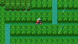 ポケットモンスター エメラルド Part 22 1番道路 通常プレイ Pokemon Emerald Youtube ポケットモンスター エメラルド Part 22 1番道路 通常プレイ Pokemon Emerald Youtube