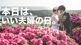 結婚して良かった事を挙げてみた。【いい夫婦の日】