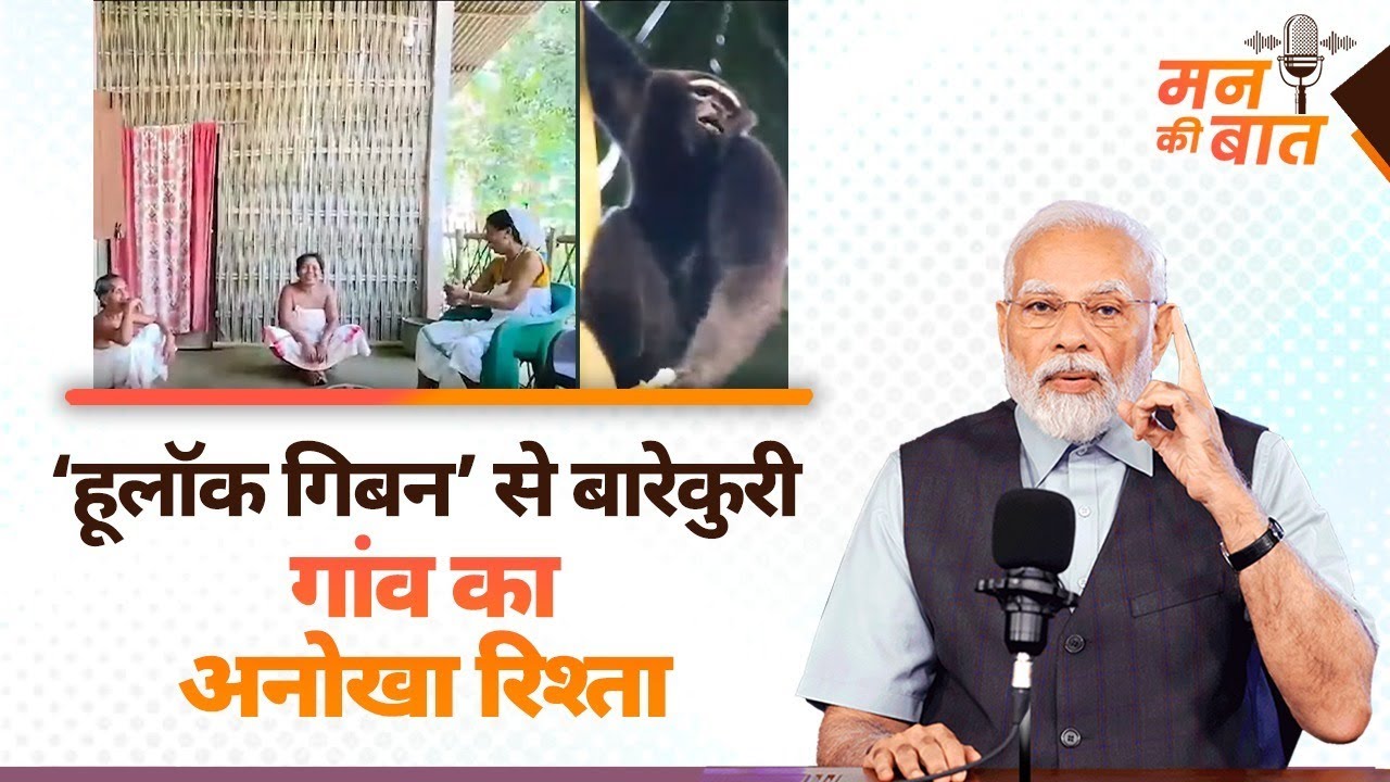 The heartwarming connection between Barekuri villagers and hoolock gibbons