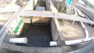 Salmon River Fish Hatchery