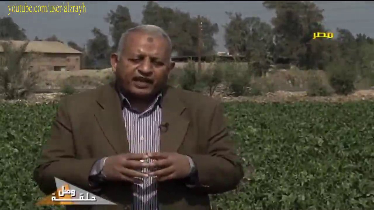 زراعة بنجر السكر التوصيات الفنية الزراعية اللازمة لزيادة انتاج المحصول وزيادة نسبه السكر