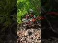 Dirt bike rider stuck in a tree #shorts #gopro #ktm #struggle