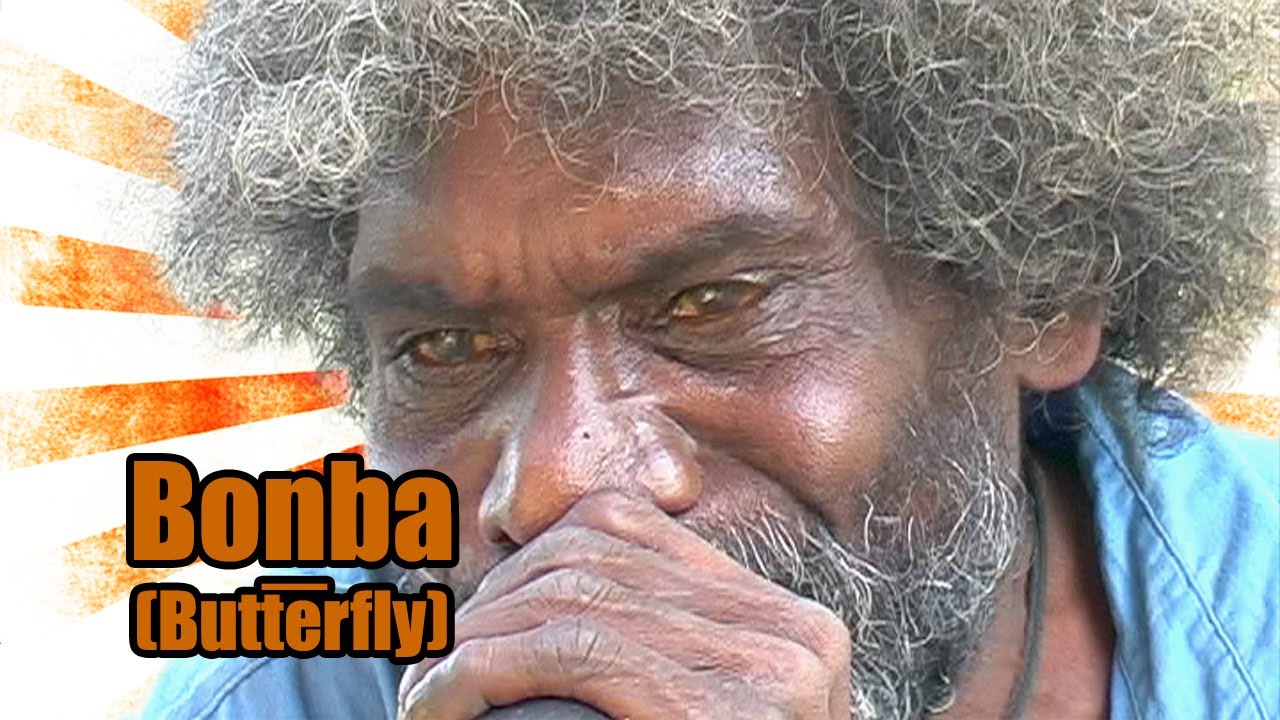 Butterfly song (Bonba) | Didgeridoo Solo | Raymond Ashley