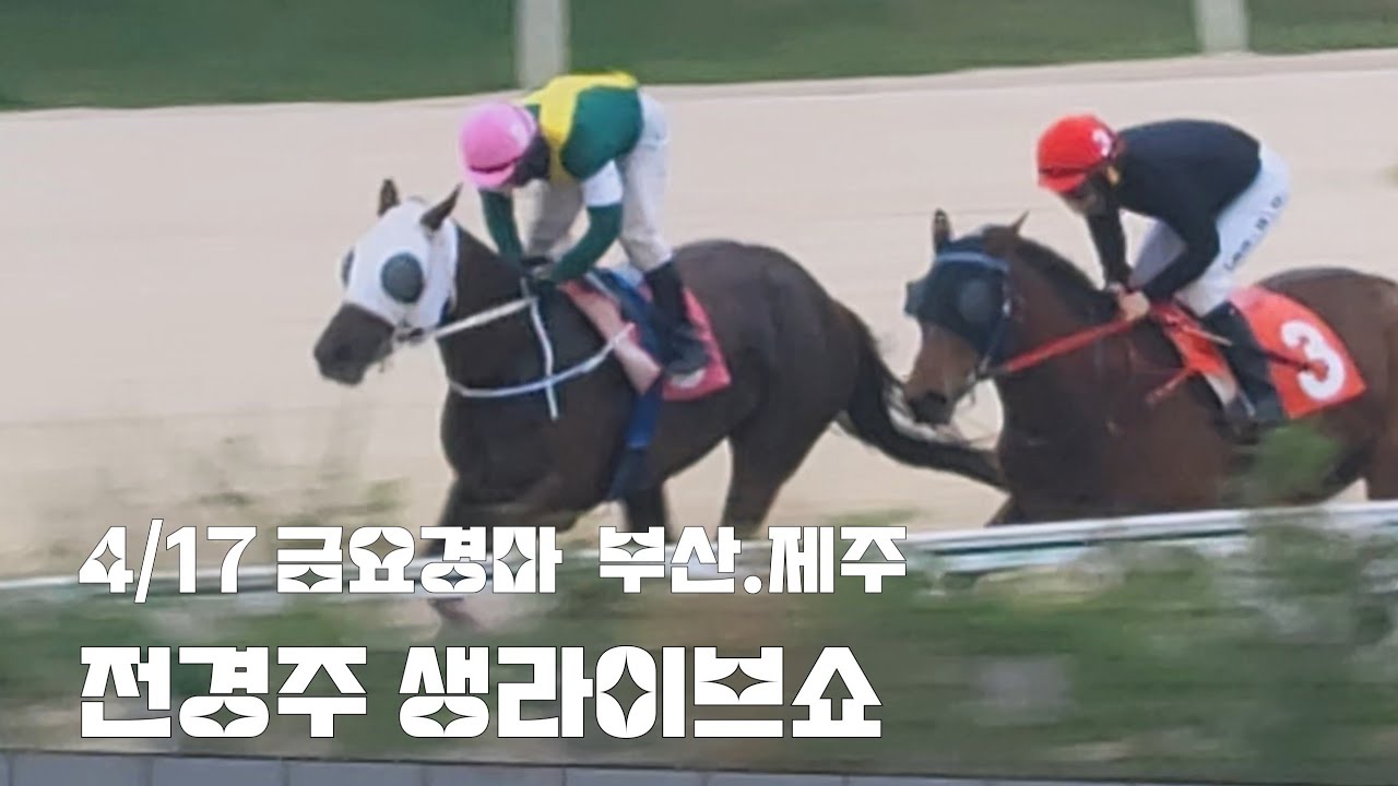 금요경마 부산 최고배당 3580.0배 (4/17 부산.제주 생라이브쇼)