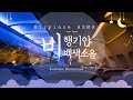 1시간 비행기 ASMR, 비행기 안내방송, 기내소리, 백색소음, 아시아나 항공