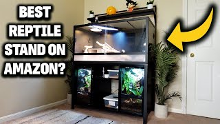 GDLF Reptile Tank Stand Review | Best Stand For 120 Gallon Enclosure!