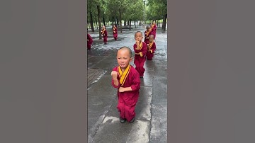 Shaolin Kids Very Hard Kung Fu Training Techniques 💖🤗🤩 #shorts #shaolin #wushu