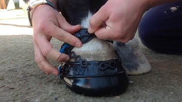 CÓMO ajustar las botas Explora usando el brazalete protector