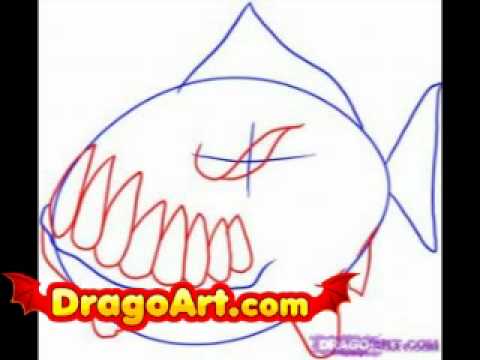 How to draw a piranha, step by step - YouTube