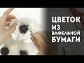 Цветы из вафельной бумаги. Пошаговый мастер-класс