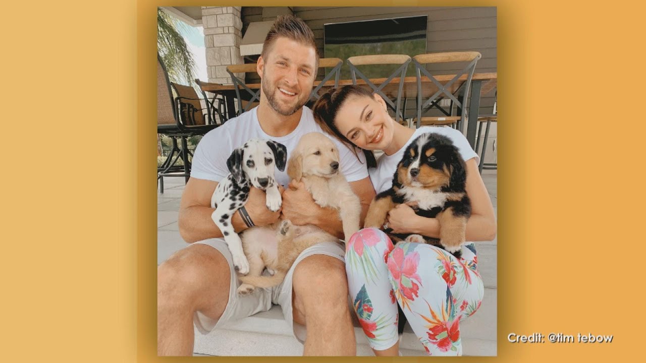 Tim Tebow Gushes About The 3 New Puppies He Got After Losing His Beloved Dog Bronco | Rachael Ray Show