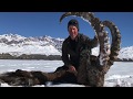 Kyrgyzstan, Mid-Asian Ibex Hunt, 2017