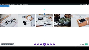 How to use divi portfolio carousel module styles in Divi ?