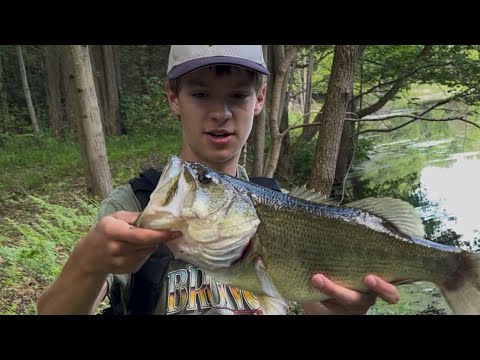 Bass fishing (we got the biggest one of the season)#fishing