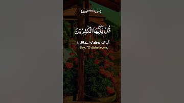 سورۃ الکافرون #تلاوة_خاشعة #قرآن #quran #shortvideo #قراءة