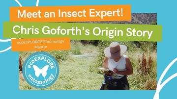 Meet an Insect Expert!