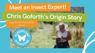 Meet An Insect Expert