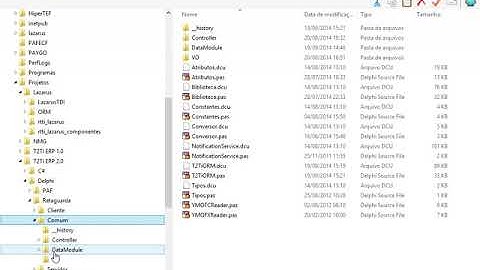 T2Ti ERP 2 0   Lazarus   ORM   04 T2Ti ORM Delphi