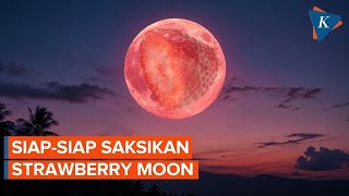 Strawberry Moon Graces Indonesia's Skies, When Is Its Peak?