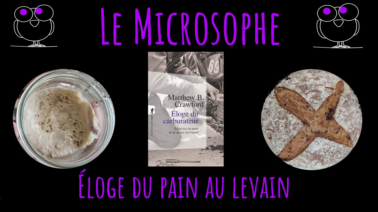 Éloge du pain au levain