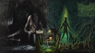 A Nameless Vehement Tandem Vengeance - Lorna Shore vs. Netherwalker vs. Shadow of Intent (Mashup)