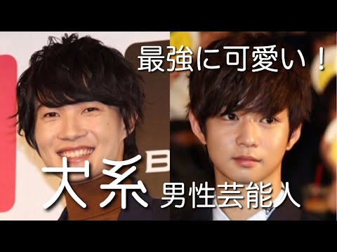 最強 神木隆之介も みんなイケメン 可愛い犬系男性芸能人ランキング Youtube