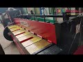 Video Image