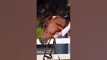 ستوريات بنات ركوب الخيل 