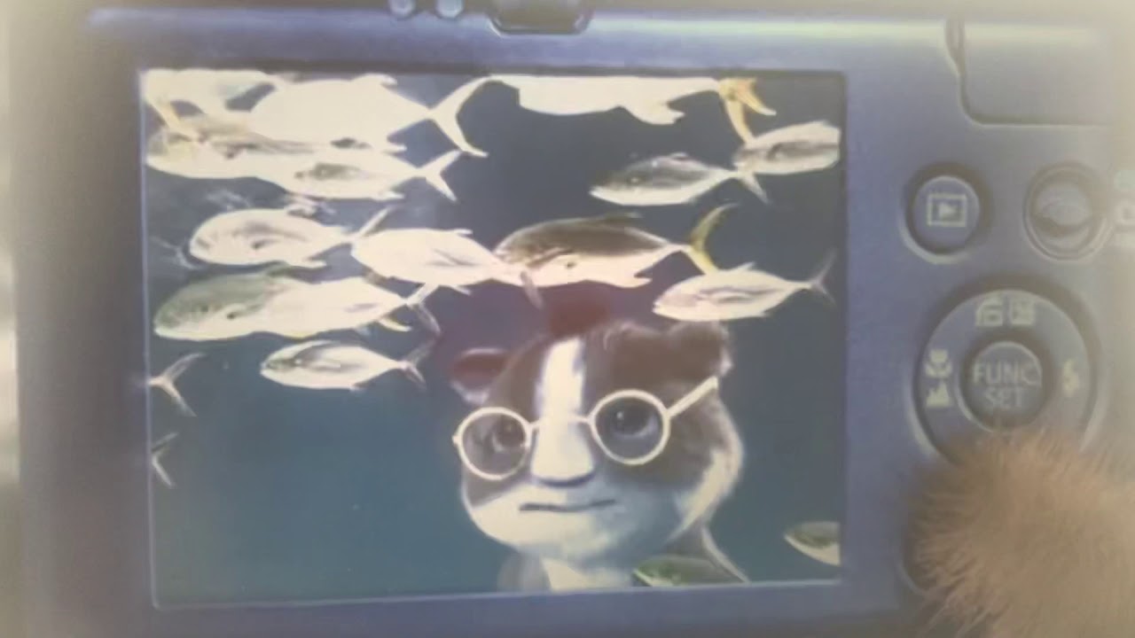 Where in the world is hooper part 11 carwash YouTube