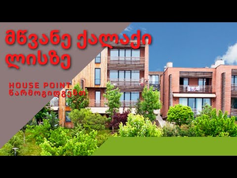 მწვანე ქალაქი ლისზე / LISI Green Town