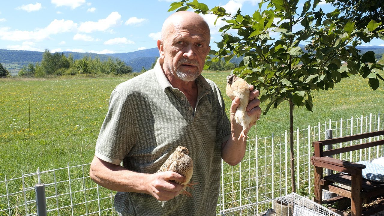 Ovo su ptice koje najbrže i  najlakše za Vas zarađuju novac