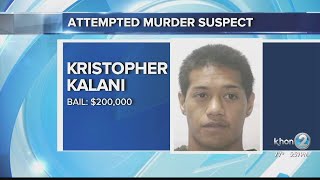 Woman's brutal beating reopens wounds for previous assault victim's family