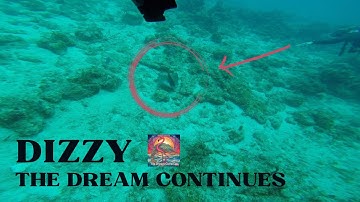 The Dream Continues - Dizzy [Demo]