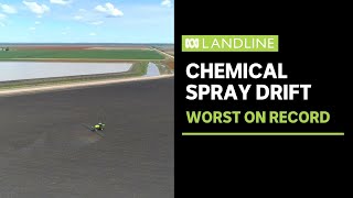 Drift from chemical spray causes millions in damage to cotton crops | Landline