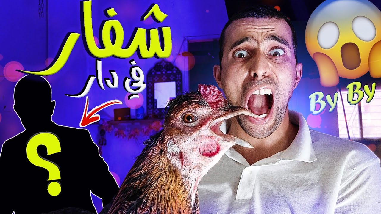 دجاج مشا 🐔 دخل عندي شفار لدار وطيبت ليه تقلية 👤🔪