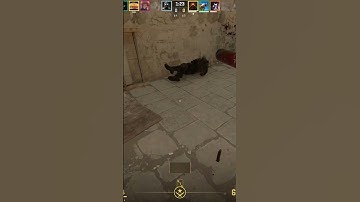 CS2 - Ancient pistol ace holding cave #cs2 #counterstrike2 #counterstrike #shorts #highlights #cs