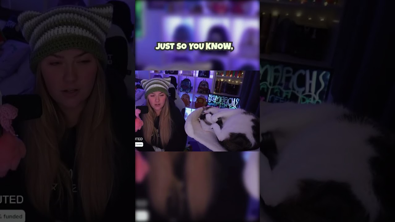 The tail cleaning is too cute 🥹🩷 #cats #cutecats #catlovers