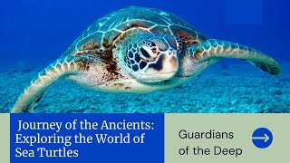 Journey of the Ancients: Exploring the World of Sea Turtles