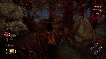 DBD Pallet save + NOED Bye Bye