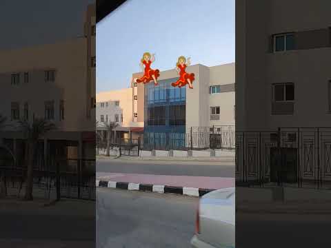 لولولوي