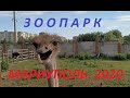 Зоопарк и ресторан Вашуры в Мариуполе 2020 Mariupol Ukraine