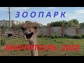 Зоопарк и ресторан Вашуры в Мариуполе