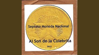 Vignette de la vidéo "Moneda Nacional - Calla"