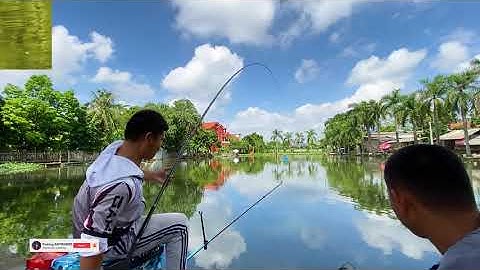 Cách móc ốc câu Trắm Đen !