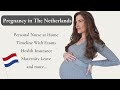 7 Things You Should Know About Pregnancy in The Netherlands