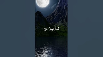 تلاوة عذبة للشيخ محمد المحيسني #quran